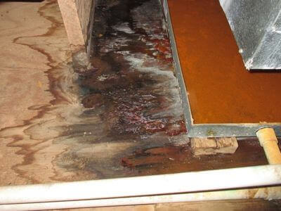 About Water Damage Restoration Haw River - water damage restoration experts in Haw River